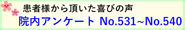 No,531~No,540