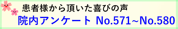 No,571~No,580